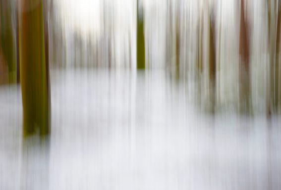 Schneewald