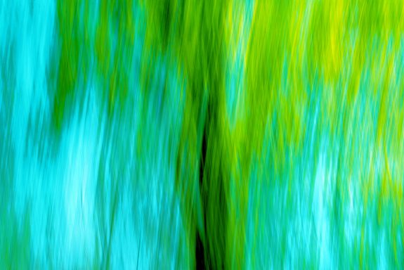 Apfelbaum
