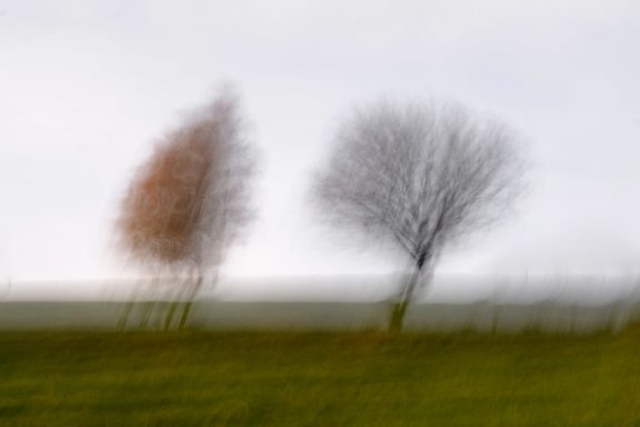 2 Freunde Zwei verschwommene Bäume vor einem grauen Himmel, einer blattlos, der andere mit Laub.