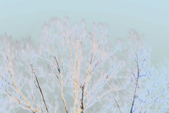 Winterlicht